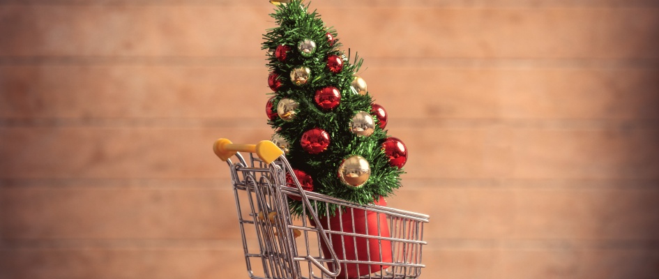 little-christmas-tree-in-supermarket-cart-on-woode-2024-09-25-01-02-31-utc