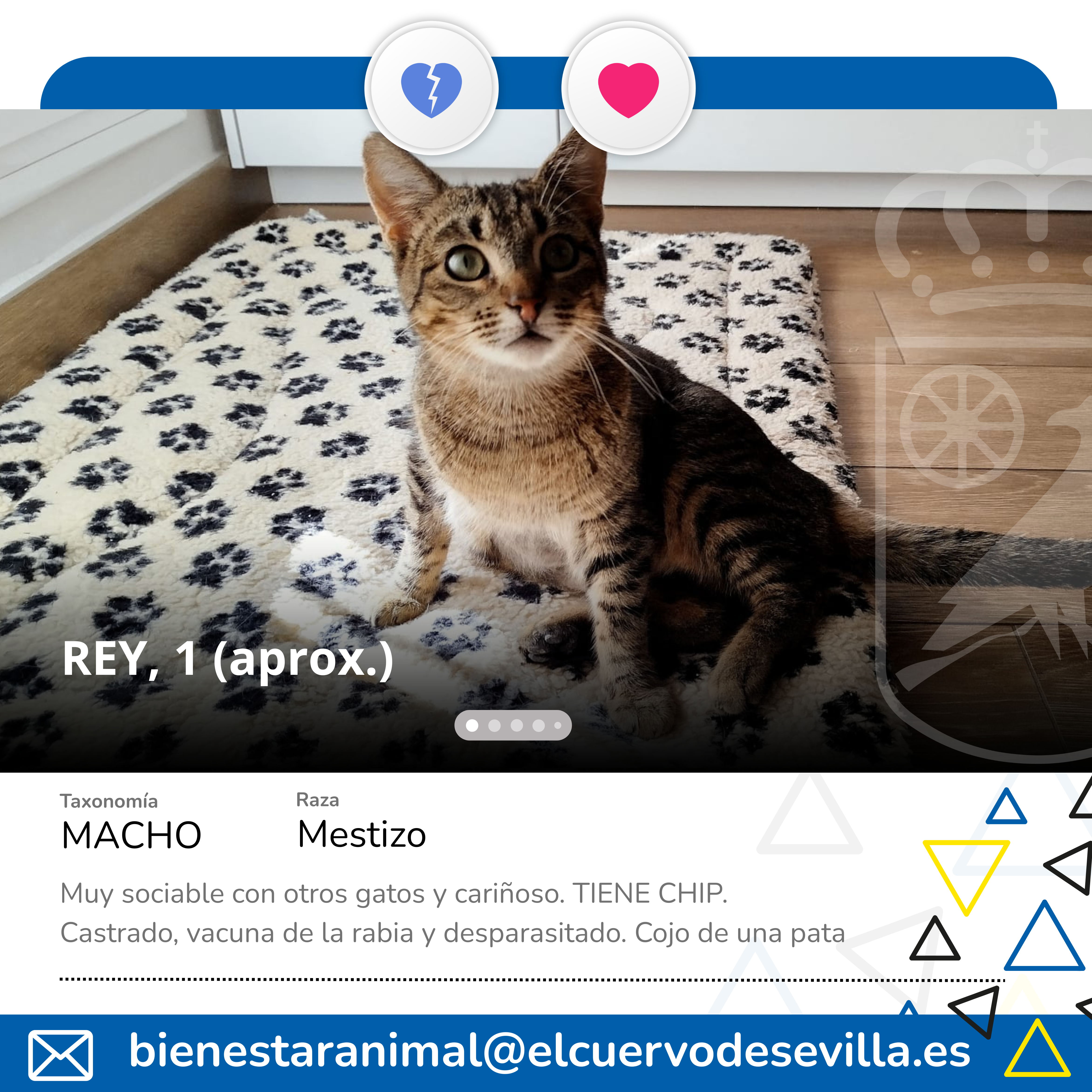 Añadir un título (1) (1)