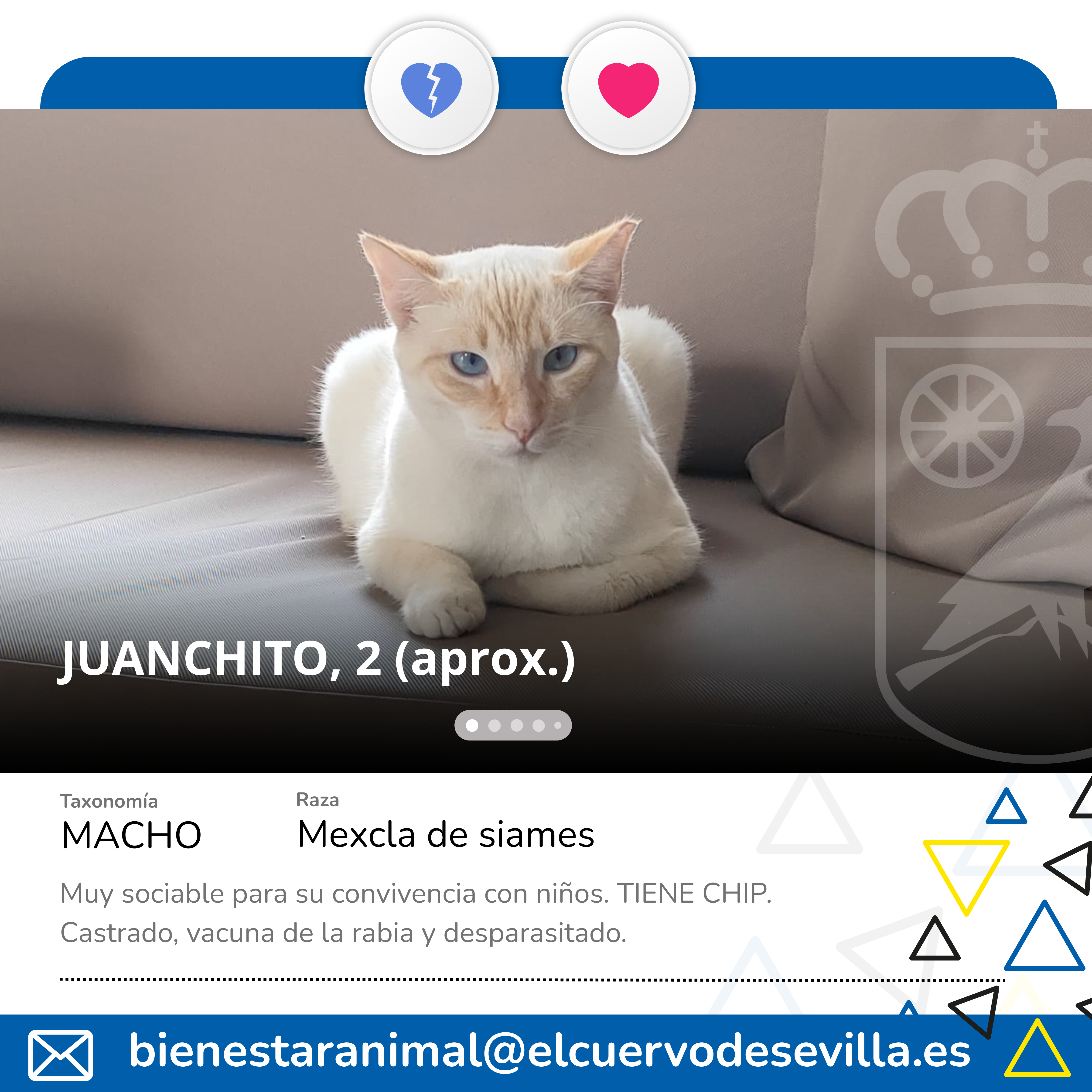 Añadir un título (7)