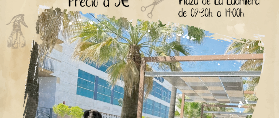 Cartel Barbero SOlidario 2025_Mesa de trabajo 1