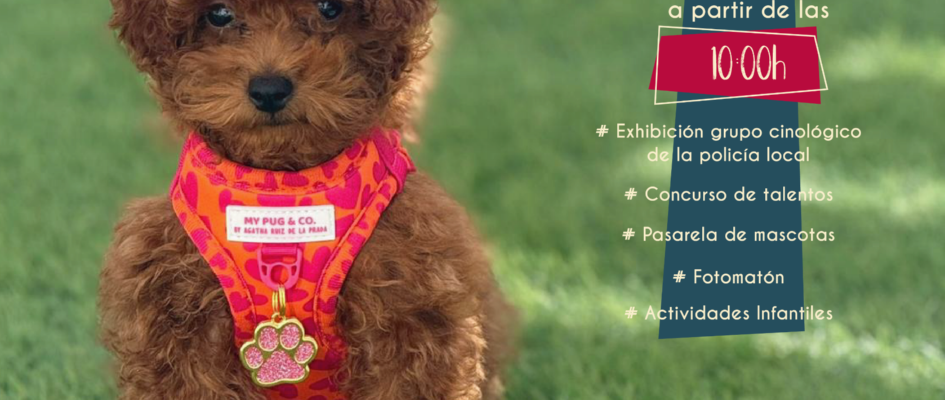 Dia del Animal de Compañía 2026_Mesa de trabajo 1